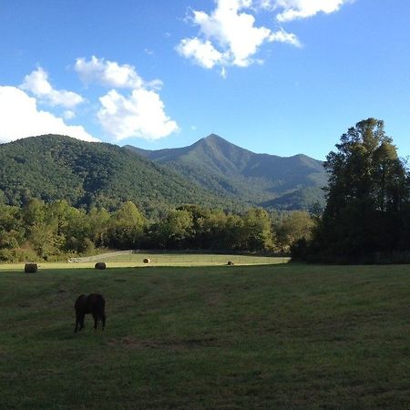 Отель Pisgah View Ranch Candler Экстерьер фото
